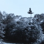IMG_5809