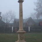 IMG_8557