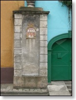 IMG_3342